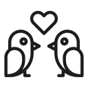 Bird,Love,Romance,Heart,Animals,Valentines day
